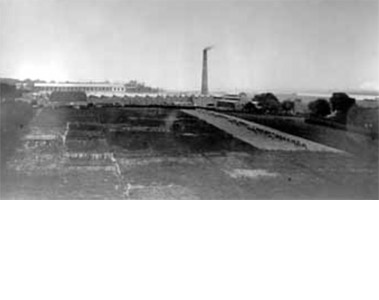 bis1900.jpg