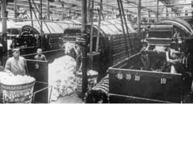 bis1914.jpg